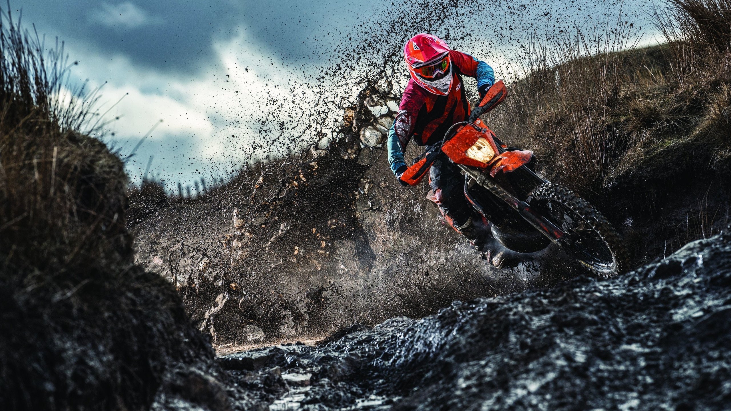 篮球青训体系引进国外先进训练理念，篮球青训体系引进国外先进训练理念是什么